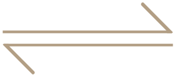 equilibrium-transparent-bg2 equilibrium-transparent-bg2